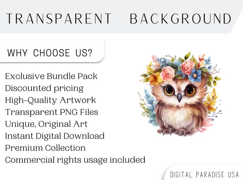 May include: A watercolor illustration of a brown owl wearing a flower crown with pink, yellow, blue, and white flowers. The owl has large brown eyes and is sitting on a white background. The text "TRANSPARENT BACKGROUND" is at the top of the image and the text "WHY CHOOSE US?" is below the owl. The text below "WHY CHOOSE US?" lists the benefits of purchasing from this shop.