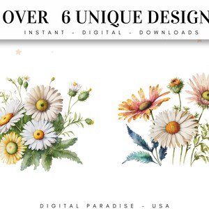 May include: Two watercolour illustrations of floral bouquets. The first bouquet features white daisies with yellow centres and green leaves. The second bouquet features a mix of white daisies, pink daisies, and orange flowers with yellow centres.