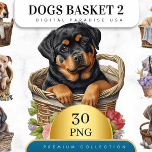 Può includere: Un download digitale di 30 immagini PNG con diverse razze di cani in cesti. I cani sono raffigurati in uno stile cartone animato con dettagli realistici. Il testo "DOGS BASKET 2" e "DIGITAL PARADISE USA" è visualizzato nella parte superiore dell'immagine.