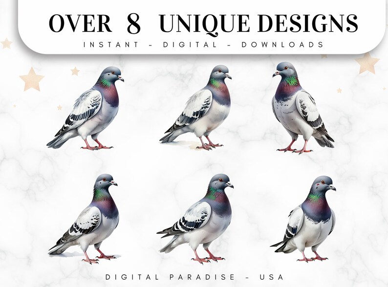 Set of 8, Pigeon Clipart, Cute Bird PNG, Watercolor Pigeon, Bird Clipart, Pigeon PNG, Pigeon Art, Digital Download, Sublimation PNG image 2