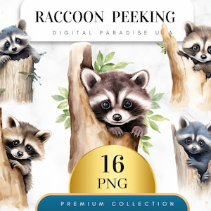 Set of 16, Raccoon Peeking Clipart, Raccoon Clipart, Animal Clipart, Woodland Clipart, Watercolor Raccoon, Sublimation PNG, Digital Download