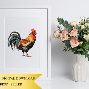 May include: A watercolor illustration of a rooster with a red comb and wattle, black and brown feathers, and a long, flowing tail. The rooster is standing on a white background.
