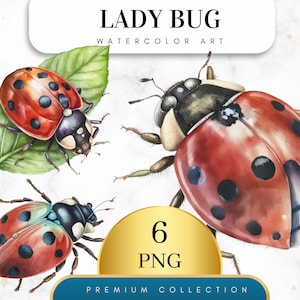 Set of 6, Watercolor Ladybug Clipart, Ladybug PNG, Boho Ladybug PNG, Ladybug Clipart, Nursery Art, Ladybug Art,Sublimation Png, Digital Png