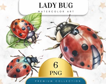 Set of 6, Watercolor Ladybug Clipart, Ladybug PNG, Boho Ladybug PNG, Ladybug Clipart, Nursery Art, Ladybug Art,Sublimation Png, Digital Png