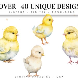 Set of 40, Watercolor Chicks Clipart Bundle, Cute Baby Chickens, Easter ...