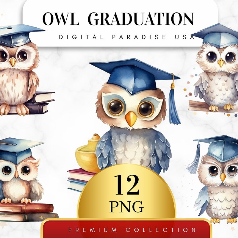 Graduation Owls - Etsy