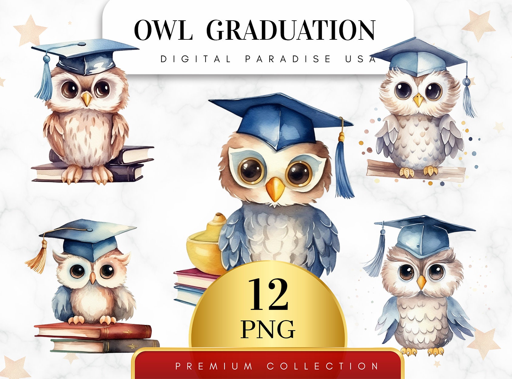 Set of 12, Owl Graduation Clipart, Owl PNG, Graduation Party Decor, Graduation Owl Cap, School Clipa