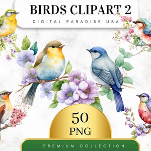 Conjunto de 50, Pacote de Clipart de Pássaros em Aquarela, Clipart de Pássaros da Primavera, Pacote de Pássaros, Clipart de Pássaros Coloridos, Clipart de Pássaros em Galho, PNG Digital