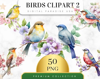 Set of 50, Watercolor Birds Clipart Bundle, Spring Birds Clipart, Birds Bundle, Colorful Birds Clipart, Birds On Branch Clipart, Digital PNG