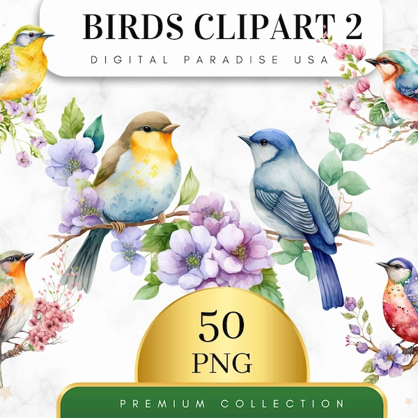 Set of 50, Watercolor Birds Clipart Bundle, Spring Birds Clipart, Birds Bundle, Colorful Birds Clipart, Birds On Branch Clipart, Digital PNG