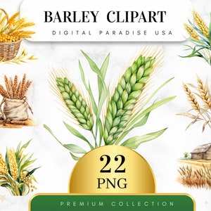 Set of 22, Barley Clipart, Grain Clipart, Wheat Clipart, Farm Clipart, Agriculture Clipart, Junk Journal, Sublimation PNG, Digital Download