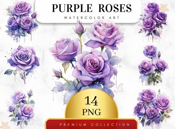 Set of 14, Watercolor Purple Roses,  Floral Clipart,  Wedding Clipart,  Spring Clipart,  Purple Roses Png, Watercolor flower, Digital PNG