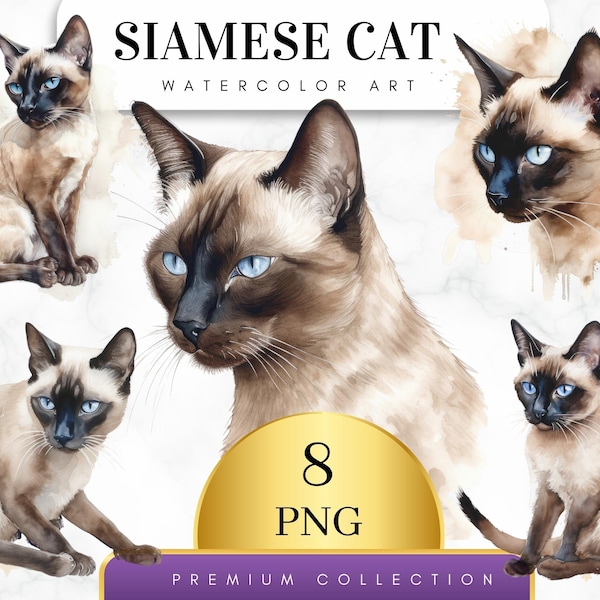 Set von 8, Siamkatze Clipart, Aquarell Siamkatze PNG Bundle, Süßes Haustier Porträt, Katze PNG, Junk Journal, Digitaler Planer, Digital PNG