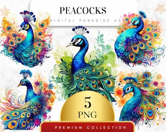 Set van 5, aquarel pauwen clipart, Peacock PNG, pauwenveer, vogel clipart, boho vogels, Peacock Art, sublimatie PNG, digitale download