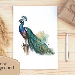 Set of 15, Watercolor Peacock Clipart, Peacock PNG, Boho Peacock Art, Watercolor Bird, Peacock Feathers, Sublimation PNG, Digital Download image 3
