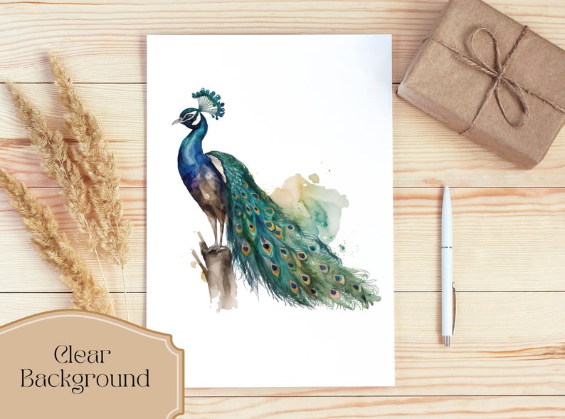 Set of 15, Watercolor Peacock Clipart, Peacock PNG, Boho Peacock Art, Watercolor Bird, Peacock Feathers, Sublimation PNG, Digital Download image 3