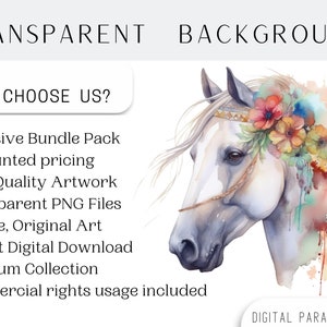Set of 23, Watercolor Floral Horse Art, Floral Horse Clipart, Watercolor Horse Png, Card Making, Mixed Media, Floral Horse Svg, Digital PNG image 4