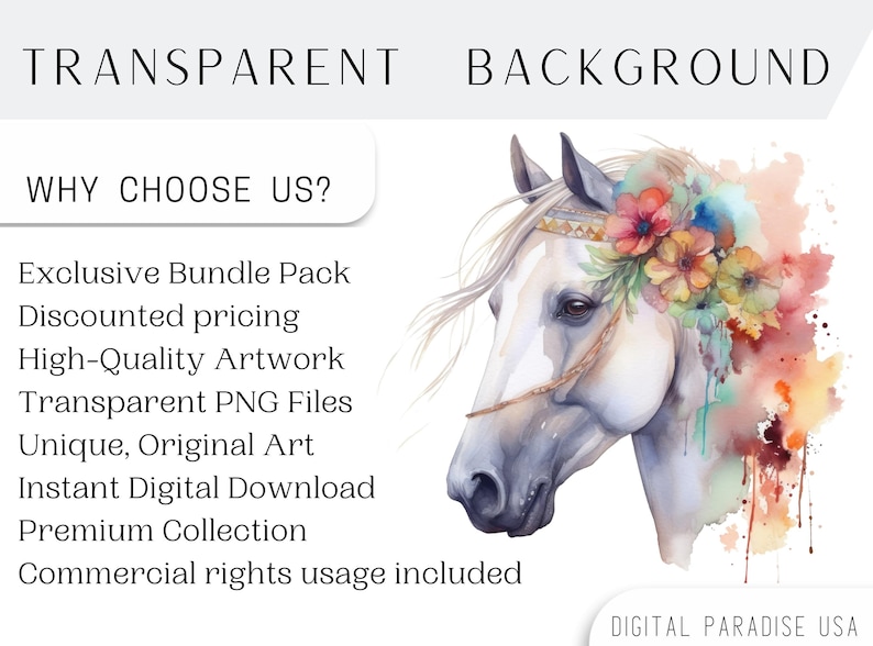 Set of 23, Watercolor Floral Horse Art, Floral Horse Clipart, Watercolor Horse Png, Card Making, Mixed Media, Floral Horse Svg, Digital PNG image 4
