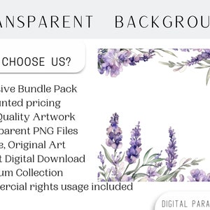 Set of 18, Watercolor Lavender Clipart, Lavender PNG, Floral Clipart, Wedding Clipart, Spring Clipart, Watercolor flower, Digital PNG image 4