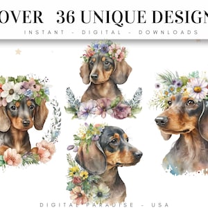 May include: Four watercolor illustrations of Dachshunds wearing floral crowns. The dogs are brown and black with floppy ears. The flowers are in shades of pink, purple, yellow, and white. The text "OVER 36 UNIQUE DESIGNS" is at the top of the image. The text "INSTANT - DIGITAL - DOWNLOADS" is below the first line of text. The text "DIGITAL PARADISE - USA" is at the bottom of the image.
