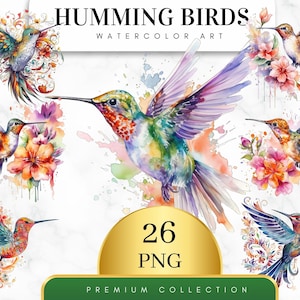 Set of 26, Watercolor Humming Birds Clipart, Spring Birds Png, Birds Clipart, Colorful Birds Clipart, Humming Birds Clipart, Digital PNG