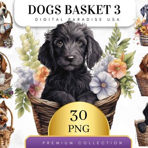 Può includere: Una collezione di 30 immagini digitali con adorabili cuccioli in vari cestini con fiori. Le immagini sono perfette per l'artigianato, lo scrapbooking e altri progetti creativi.  DOGS BASKET 3 DIGITAL PARADISE USA