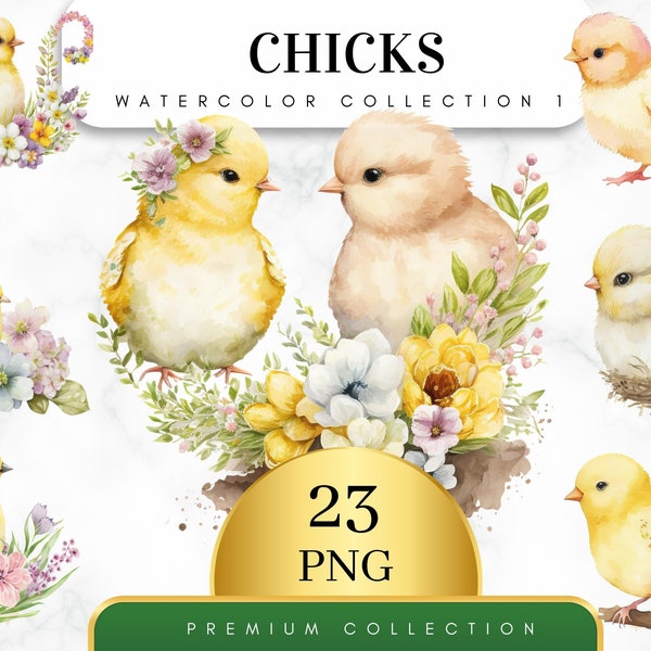Set of 23, Watercolor Chicks Clipart Bundle, Cute Baby Chickens, Easter Eggs png, Watercolor Chicks, Chicks png, Sublimation, Digital PNG