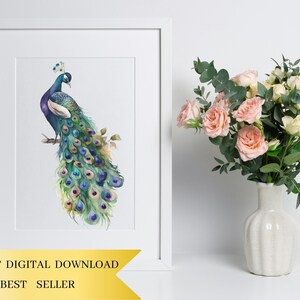 Set of 15, Watercolor Peacock Clipart, Peacock PNG, Boho Peacock Art, Watercolor Bird, Peacock Feathers, Sublimation PNG, Digital Download image 5