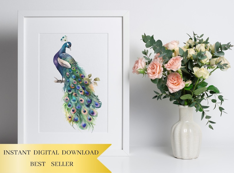 Set of 15, Watercolor Peacock Clipart, Peacock PNG, Boho Peacock Art, Watercolor Bird, Peacock Feathers, Sublimation PNG, Digital Download image 5