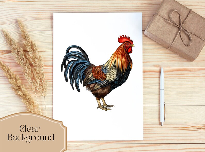 May include: A detailed illustration of a rooster with a red comb and wattles, brown, black, and blue feathers, and a white background.