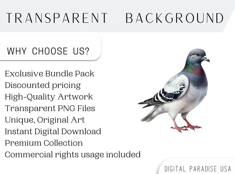 Set of 8, Pigeon Clipart, Cute Bird PNG, Watercolor Pigeon, Bird Clipart, Pigeon PNG, Pigeon Art, Digital Download, Sublimation PNG image 4