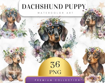 Conjunto de 36 imágenes prediseñadas de perro salchicha con diseño floral en acuarela, imágenes prediseñadas de perro salchicha, imágenes prediseñadas de perro salchicha, acuarela de perro salchicha, arte de perro salchicha, imágenes PNG digitales