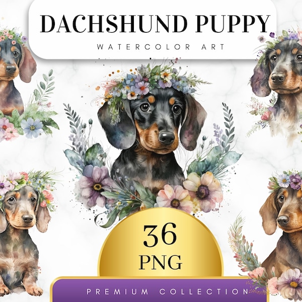 Set of 36, Watercolor Floral Dachshund Clipart Bundle, Dachshund Clipart, Dachshund Png, Dachshund Watercolor, Dachshund art, Digital PNG