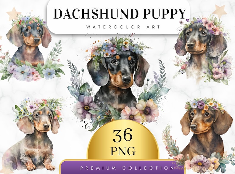 May include: A set of 36 watercolor illustrations of dachshund puppies wearing flower crowns. The puppies are in various poses and have different colored flowers in their crowns. The illustrations are perfect for use in digital scrapbooking, card making, and other creative projects.