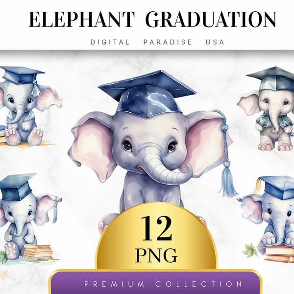 Set of 12, Elephant Graduation Clipart, Elephant Clipart, Elephant PNG, Graduation Bundle, Elephant Art, Digital Download, Sublimation PNG