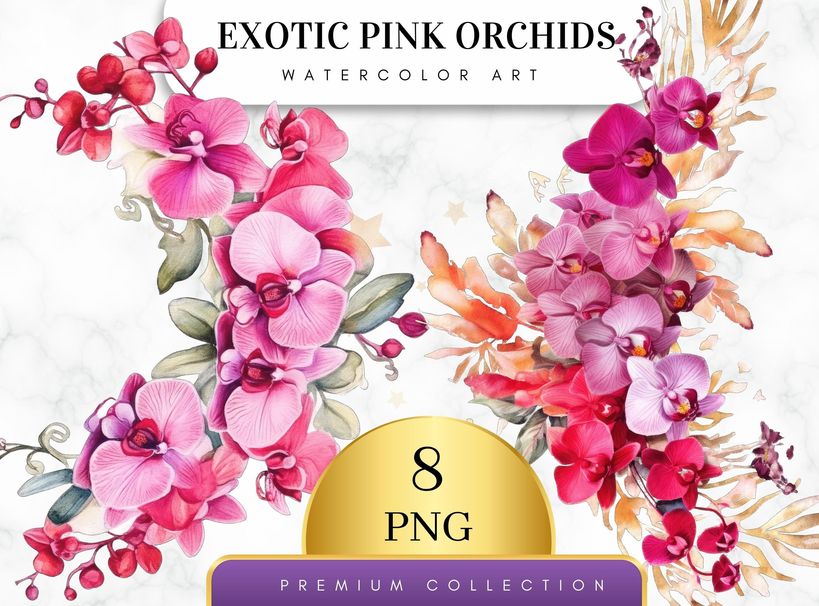Cinta de orquídeas - Etsy México, image size:2700x2000