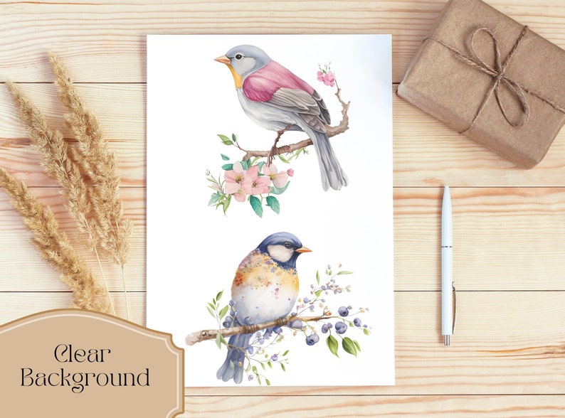Puede incluir: Dos ilustraciones de acuarela de p&aacute;jaros posados ​​en ramas. El p&aacute;jaro de arriba es azul y rosa con un pico amarillo y est&aacute; rodeado de flores rosas. El p&aacute;jaro de abajo es azul y blanco con un pico amarillo y est&aacute; rodeado de hojas verdes y bayas moradas.