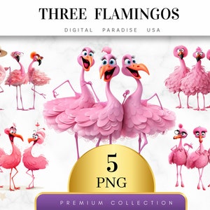 Puede incluir: Cinco ilustraciones digitales de flamencos rosas con diferentes expresiones y poses. Los flamencos son de estilo de dibujos animados y tienen ojos y picos grandes. El texto "THREE FLAMINGOS" está en la parte superior de la imagen, y el texto "5 PNG" está en un círculo dorado en el centro de la imagen.