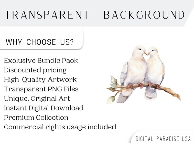 Set of 29, Cute Pigeons Clipart, Pigeon PNG, Bird Clipart, Scrapbook Birds, Watercolor Pigeons, Pigeon Art, Digital Download,Sublimation PNG image 4