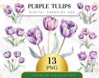 Set of 13, Watercolor Purple Tulips Clipart, Tulip PNG, Floral Clipart, Spring Clipart, Flower Clipart, Sublimation PNG, Digital Download