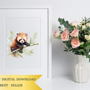 May include: Watercolor painting of a red panda sitting on a branch of bamboo. The red panda is brown and white with black markings around its eyes. The bamboo is green and has leaves. The painting is on a white background.