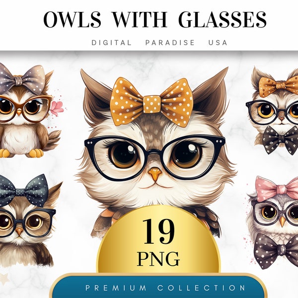 Set of 19, Owl with Glasses Clipart, Cute Owl PNG, Owl Clipart Bundle, Digital Owl Art, Digital Download, Sublimation Clipart, Junk Journal