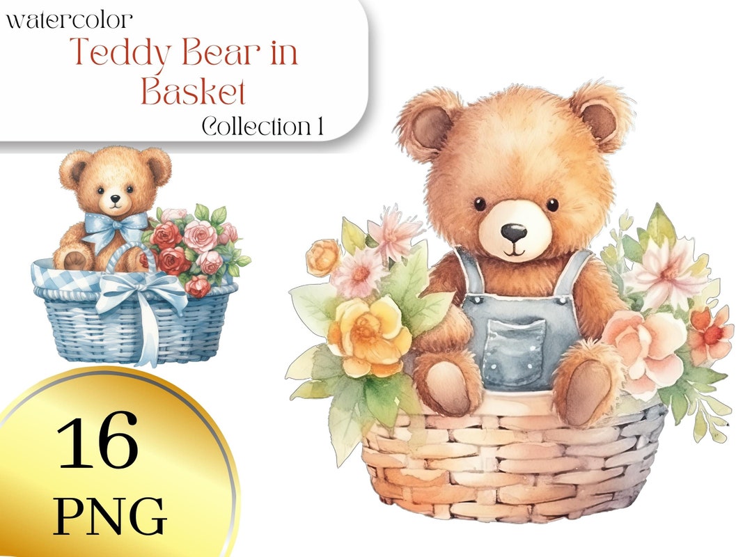 Set of 16 Watercolor Teddy Bear in Basket Teddy Bear PNG - Etsy