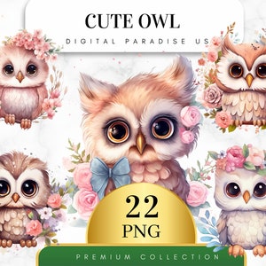 May include: A set of 22 digital illustrations of cute owls with floral accents. The owls are depicted in various poses and with different expressions. The illustrations are perfect for crafting projects, scrapbooking, and digital design.