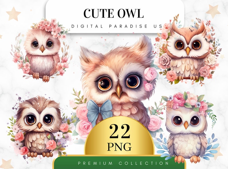 May include: A set of 22 digital illustrations of cute owls with floral accents. The owls are depicted in various poses and with different expressions. The illustrations are perfect for crafting projects, scrapbooking, and digital design.