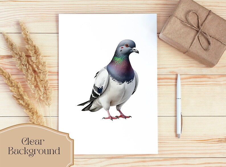 Set of 8, Pigeon Clipart, Cute Bird PNG, Watercolor Pigeon, Bird Clipart, Pigeon PNG, Pigeon Art, Digital Download, Sublimation PNG image 3