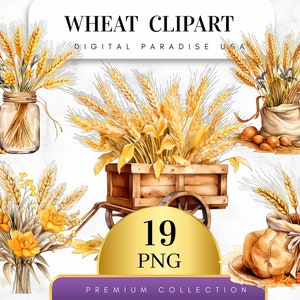 Set of 19, Wheat Clipart, Wheat Bundle, Wheat PNG, Sublimation Clipart, Watercolor Wheat, Farm Clipart, Agriculture Clipart,Digital Download