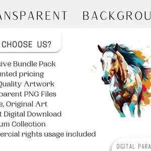 Set of 57, Kentucky Derby Clipart, Horse Racing Clipart, Racehorse PNG, Derby Party Decor, Equestrian Art, Sublimation PNG, Digital Download image 4