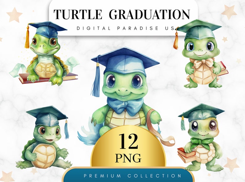 Grad Turtle Set of 12, Turtle Graduation Clipart, Turtle PNG, Graduation Cap ...
