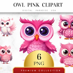 Set of 6, Owl Pink Clipart, Owl PNG, Pink Bird Clipart, Watercolor Owl, Owl Art, Junk Journal, Birds PNG, Sublimation PNG, Digital Download